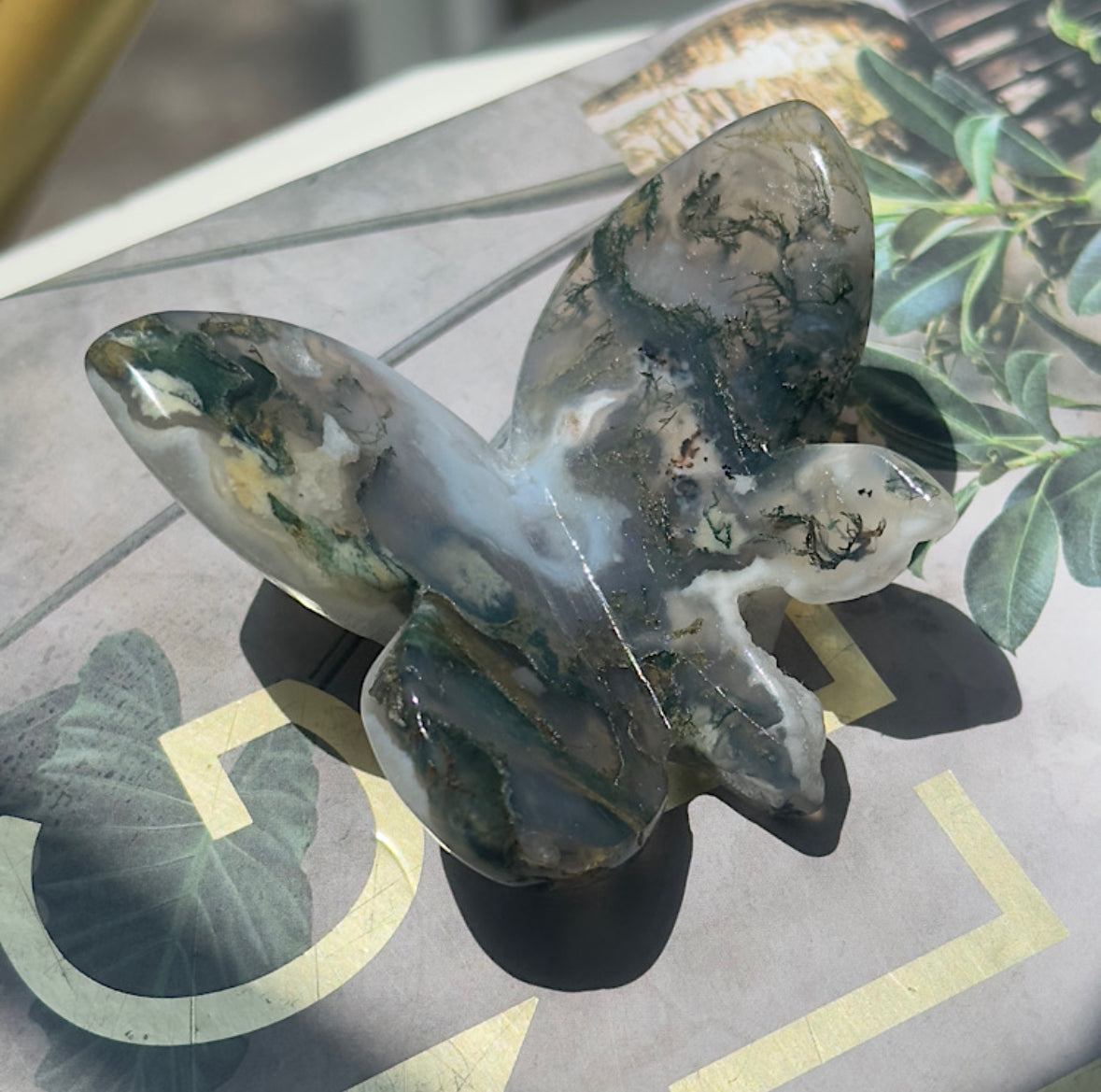 Moss Agate 3D Butterfly - A