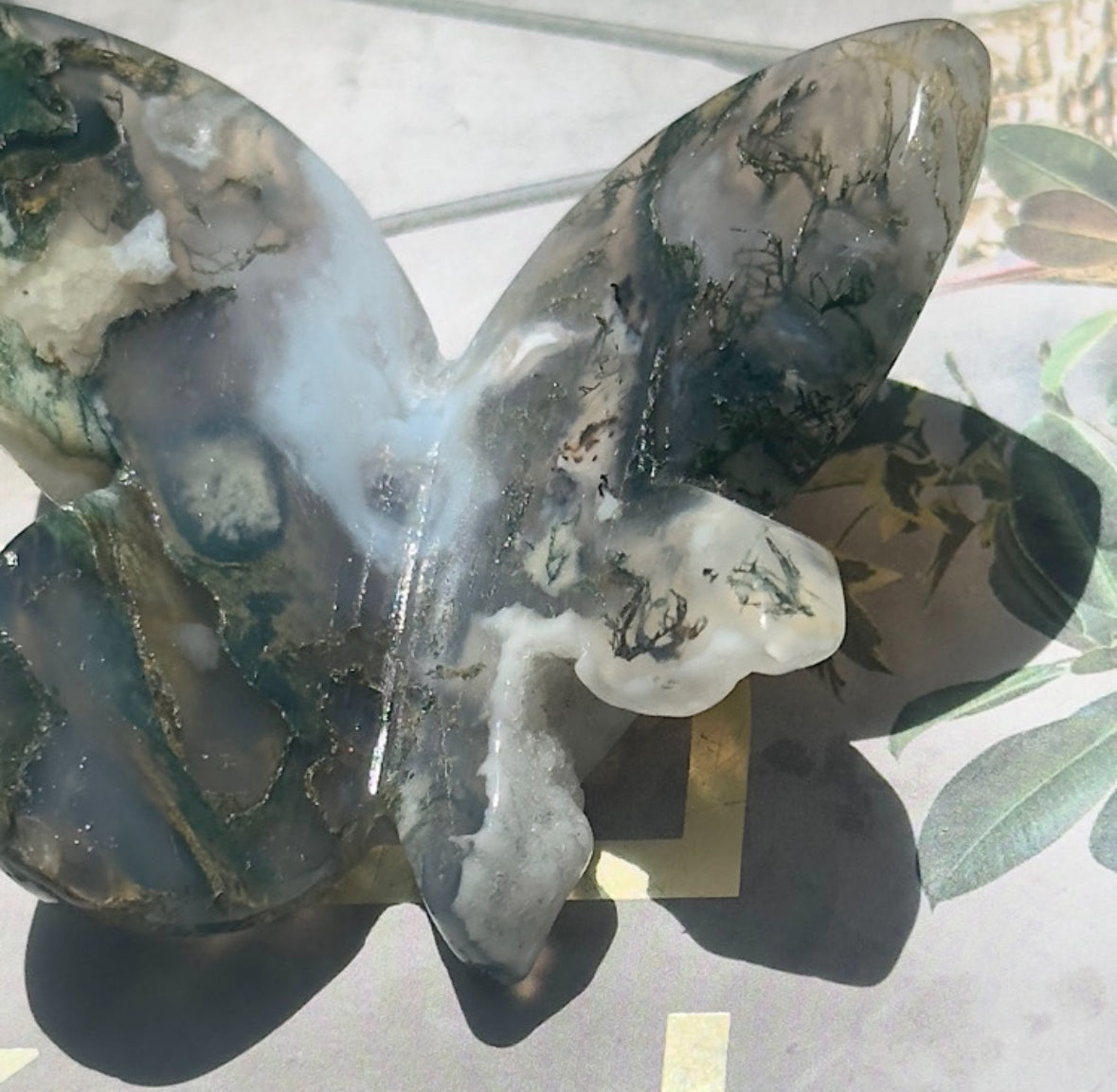 Moss Agate 3D Butterfly - A
