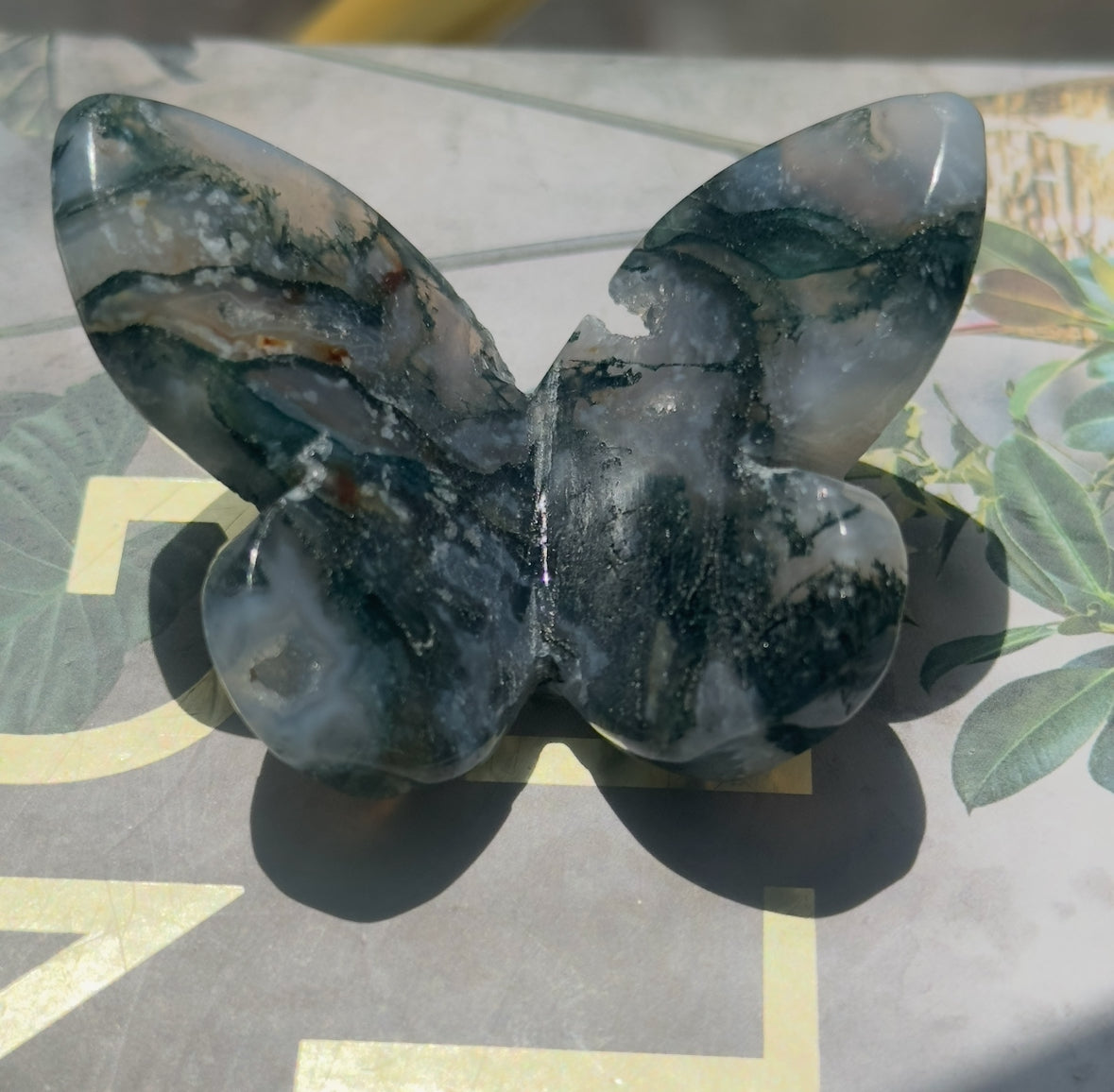 Moss Agate 3D Butterfly - B