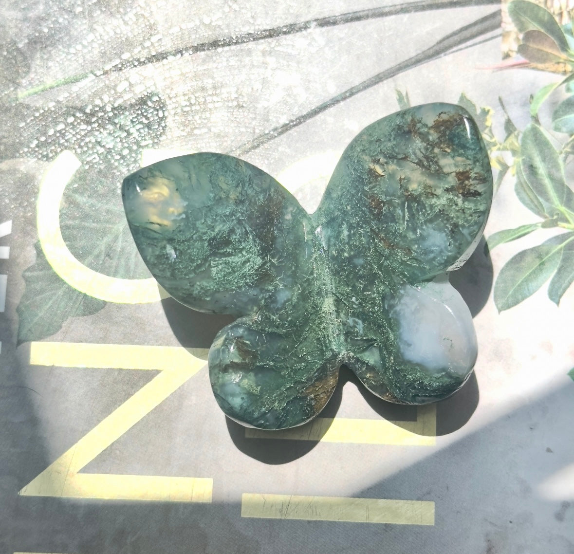 Moss Agate 3D Butterfly - C
