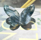 Moss Agate 3D Butterfly - D