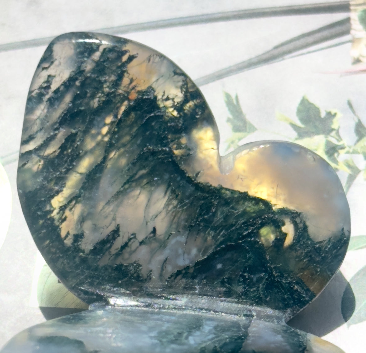 Moss Agate 3D Butterfly - D