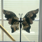 Moss Agate Butterfly on Stand - B