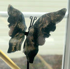 Moss Agate Butterfly on Stand - B