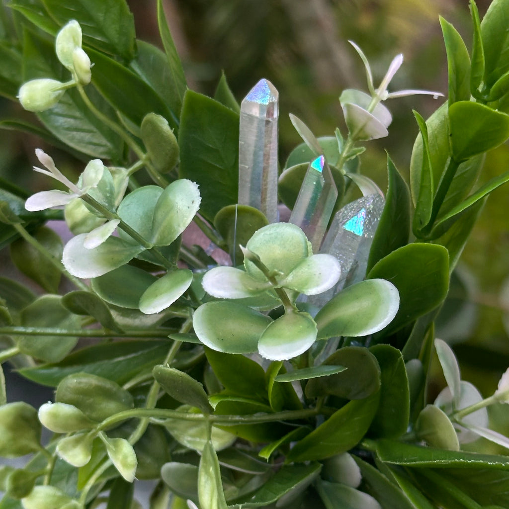 Enchanted Mirror No. 01