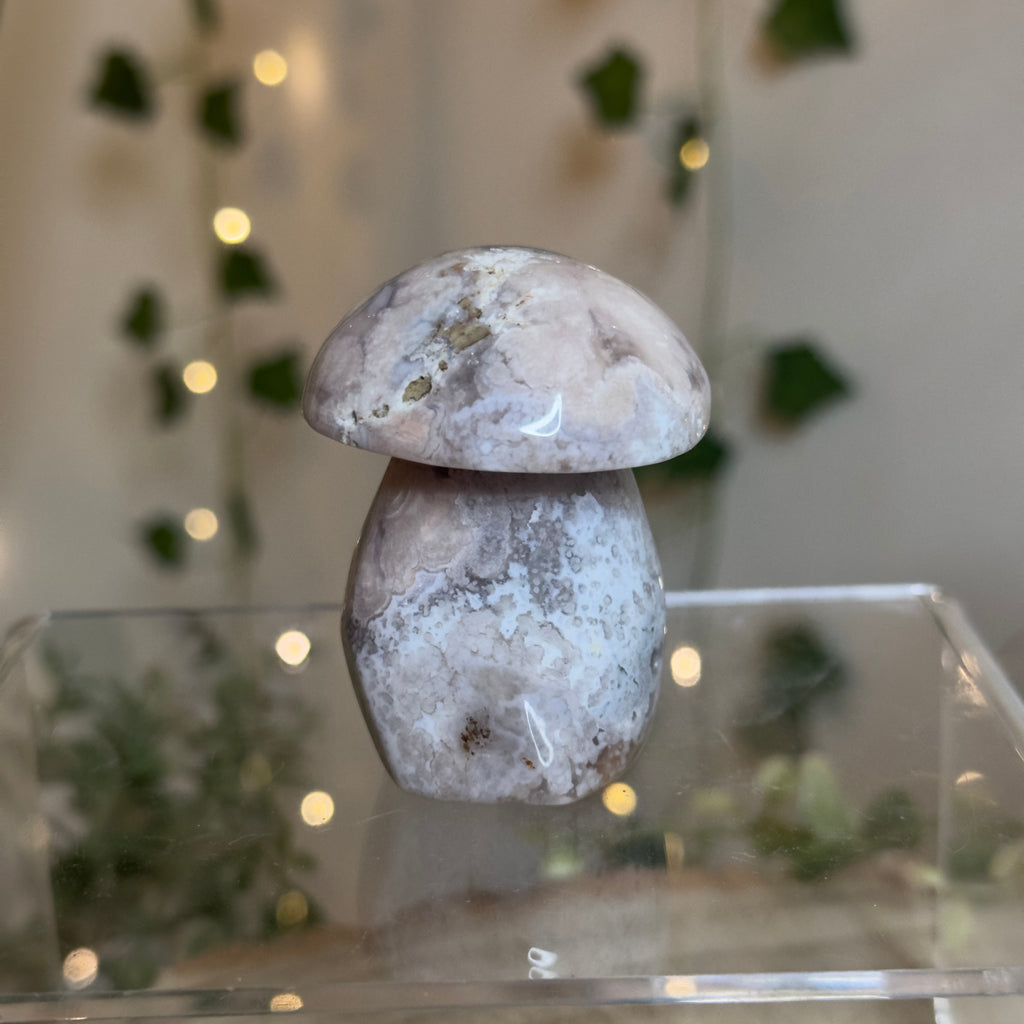 Flower Agate Mushroom - C