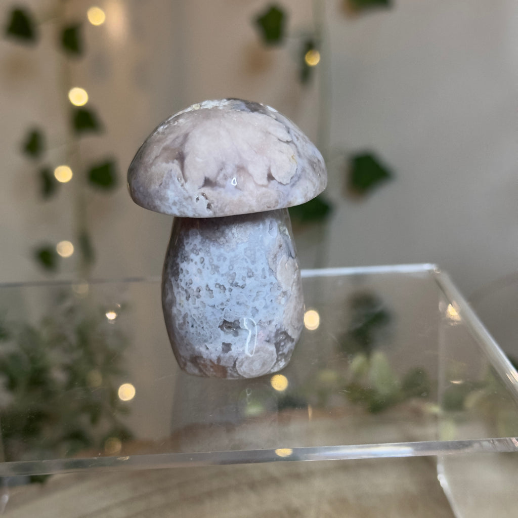 Flower Agate Mushroom - C