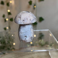 Flower Agate Mushroom - C