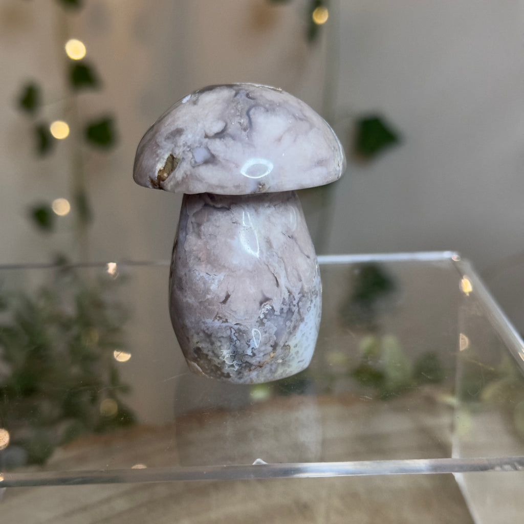 Flower Agate Mushroom - C