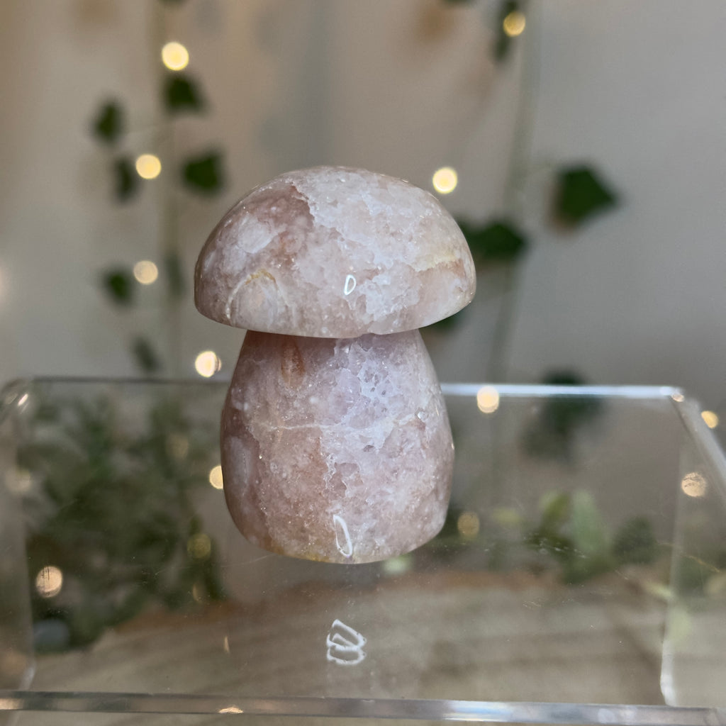 Flower Agate Mushroom - B