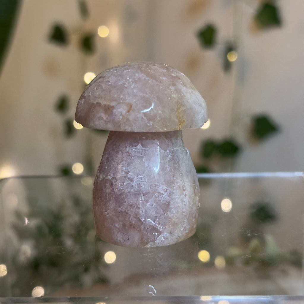 Flower Agate Mushroom - B