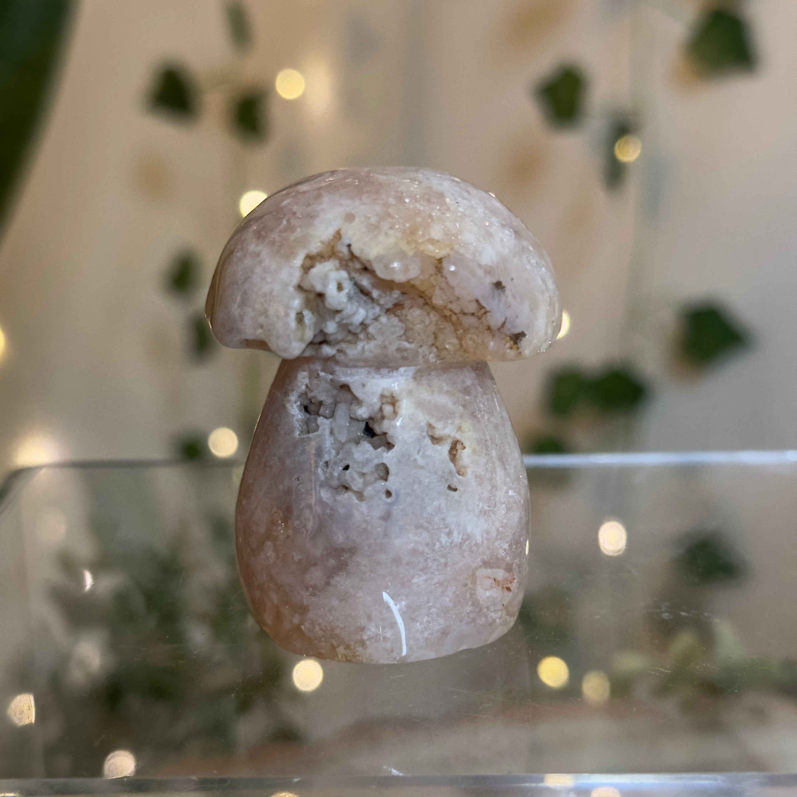 Flower Agate Mushroom - B