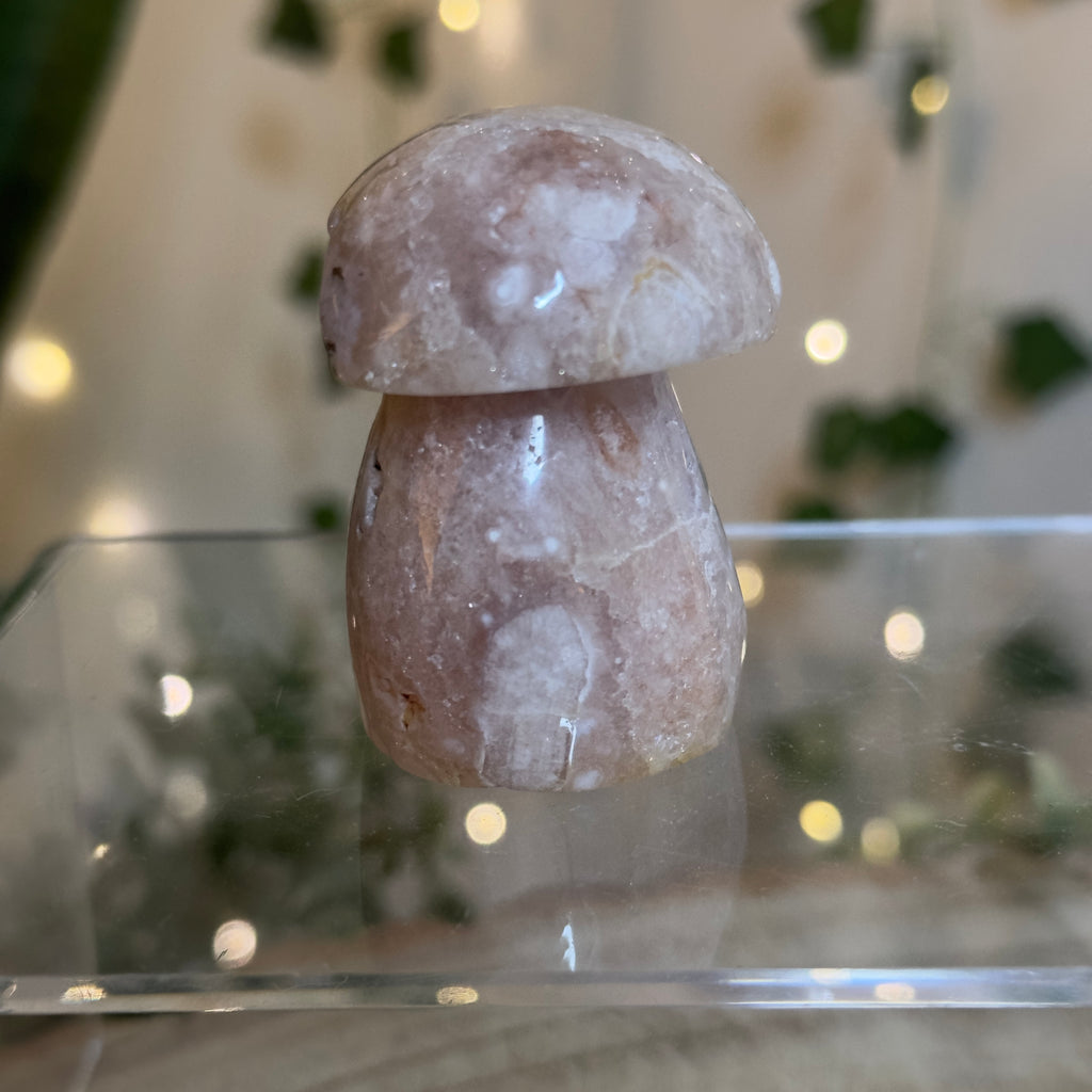 Flower Agate Mushroom - B