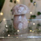 Flower Agate Mushroom - B