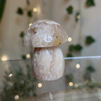 Flower Agate Mushroom - A