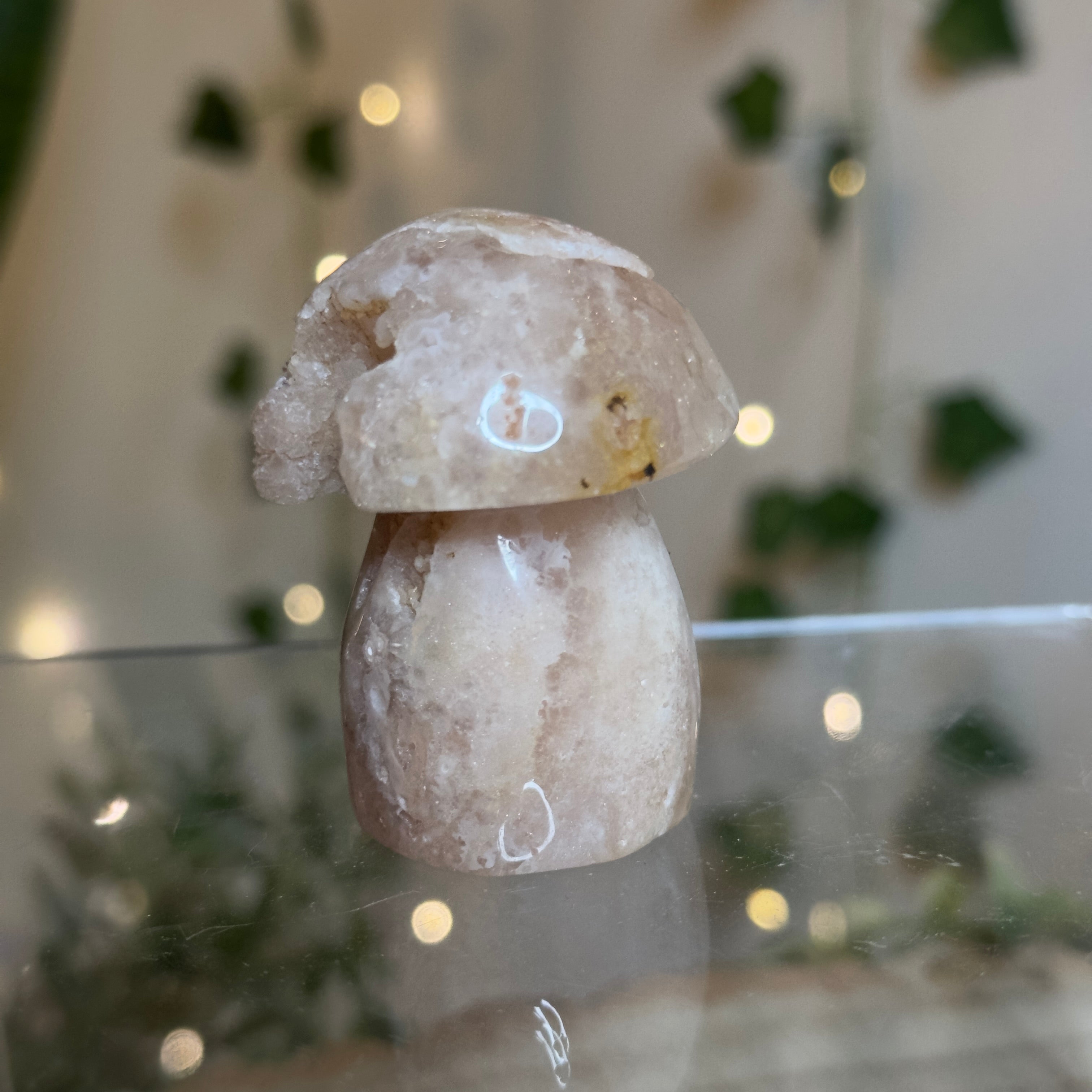 Flower Agate Mushroom - A