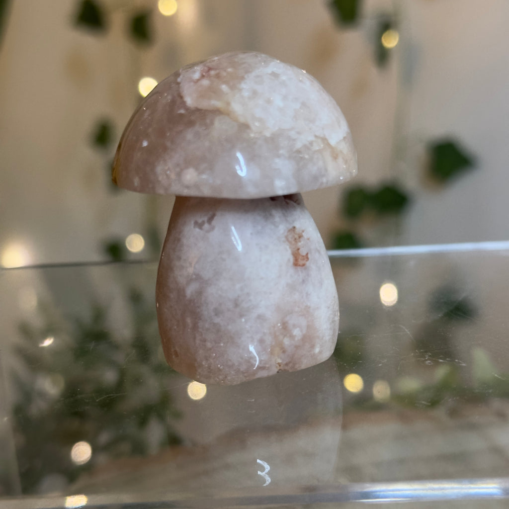 Flower Agate Mushroom - A