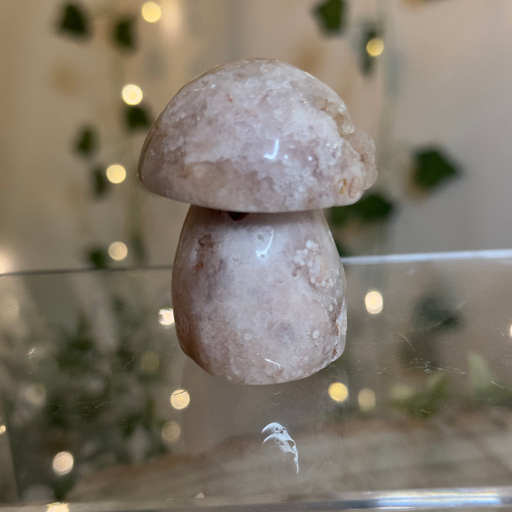 Flower Agate Mushroom - A