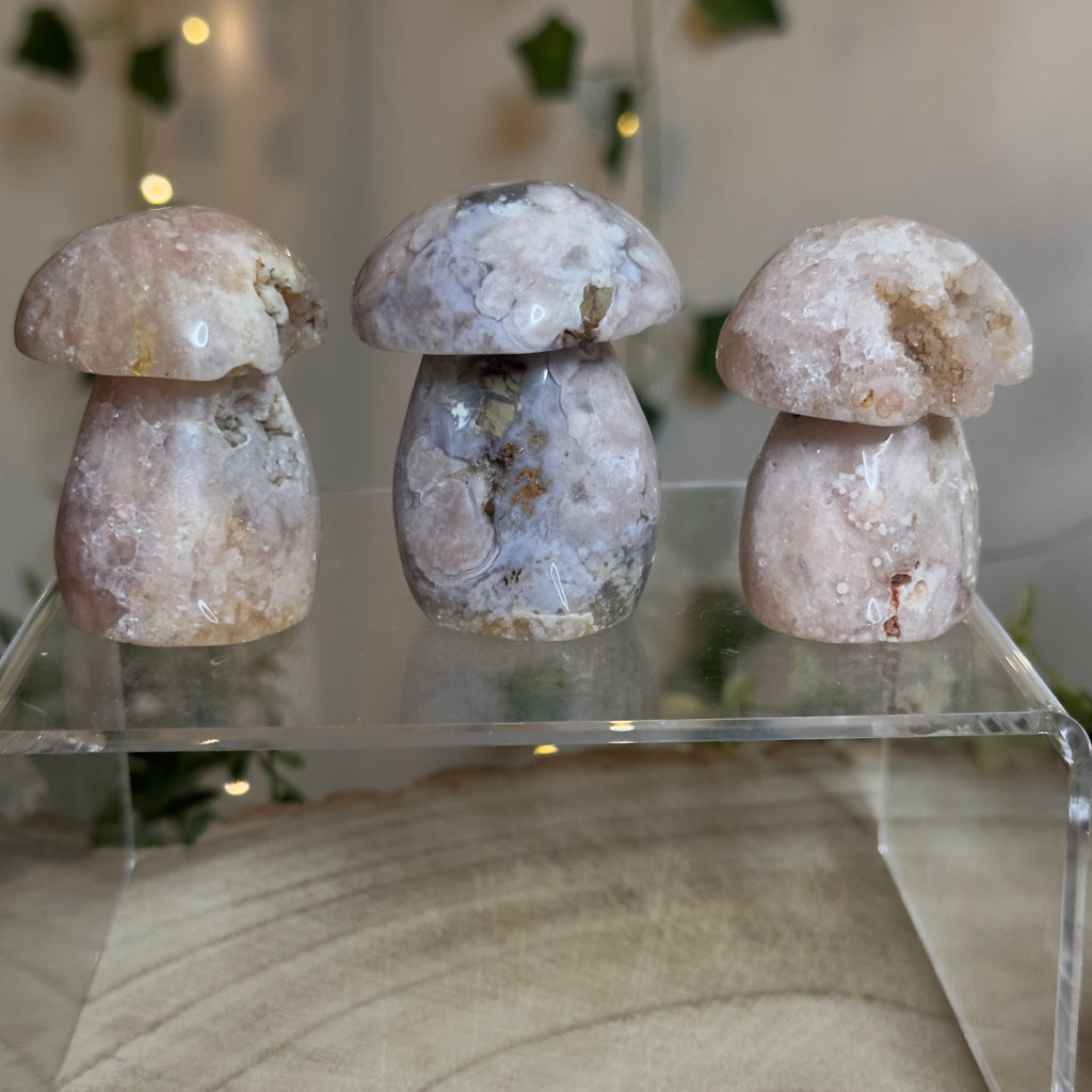Flower Agate Mushroom - B