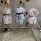 Flower Agate Mushroom - B