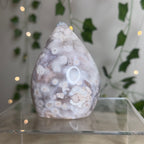 Flower Agate & Pink Amethyst Druzy Freeform