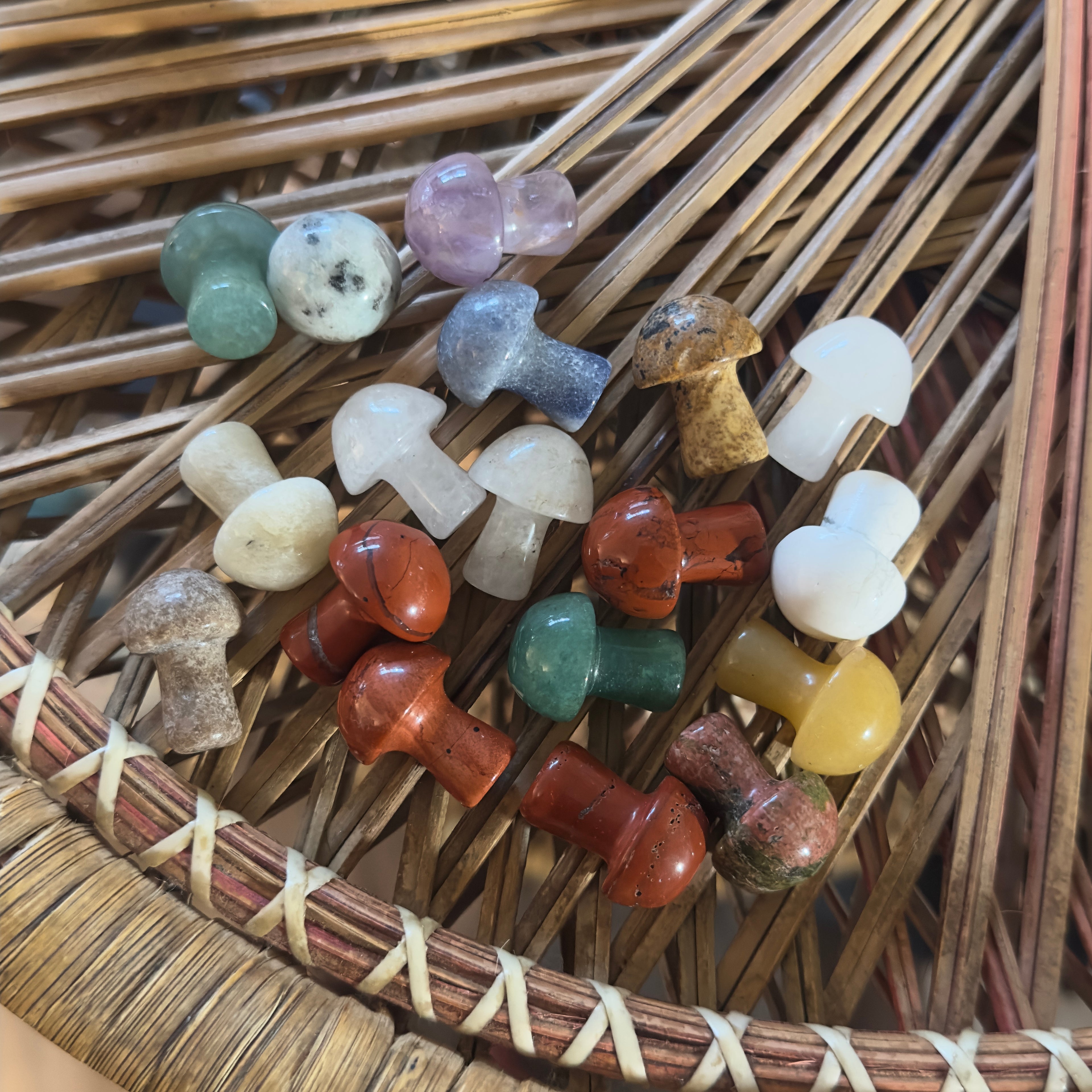 Little World: Forest Fairy