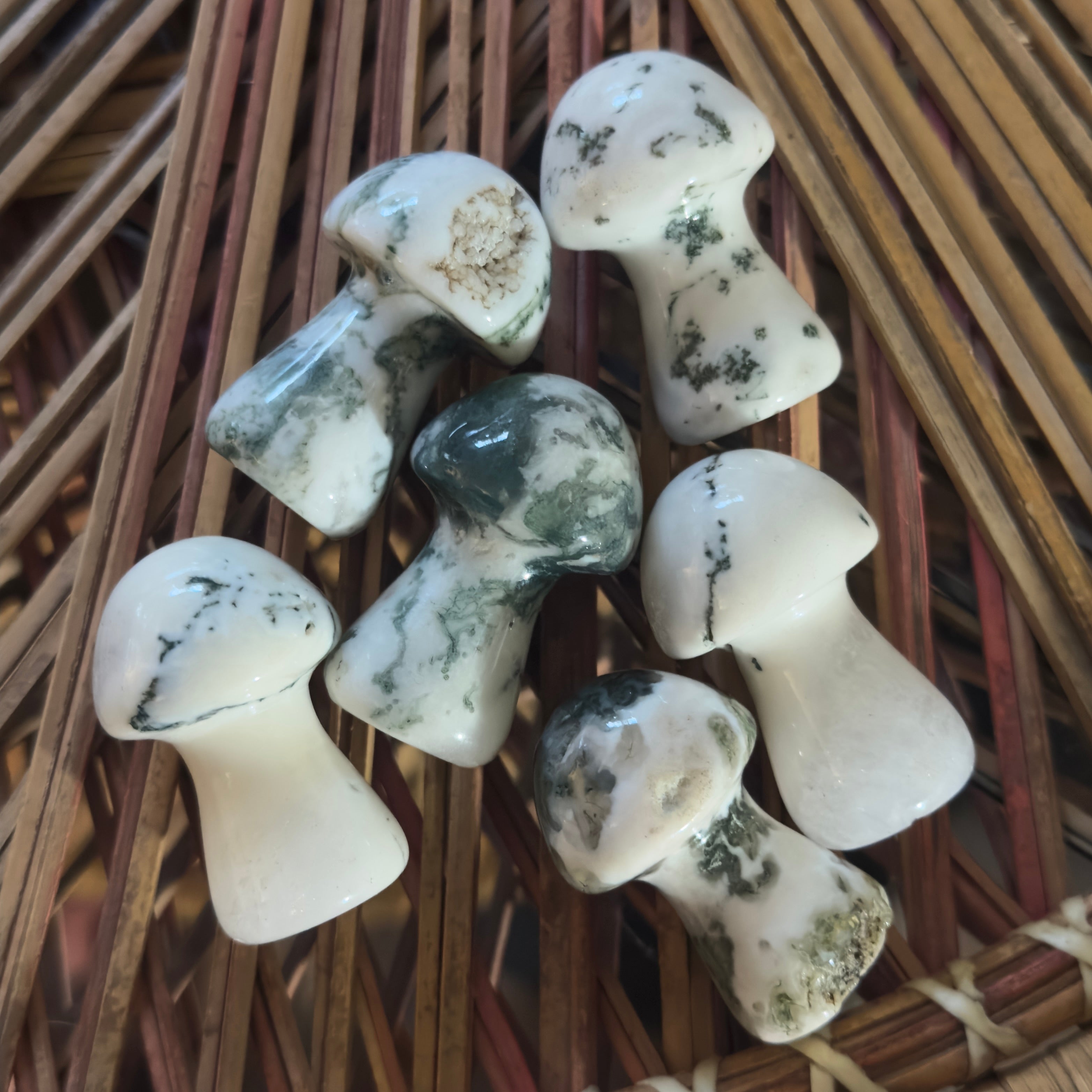 Little World: Forest Fairy