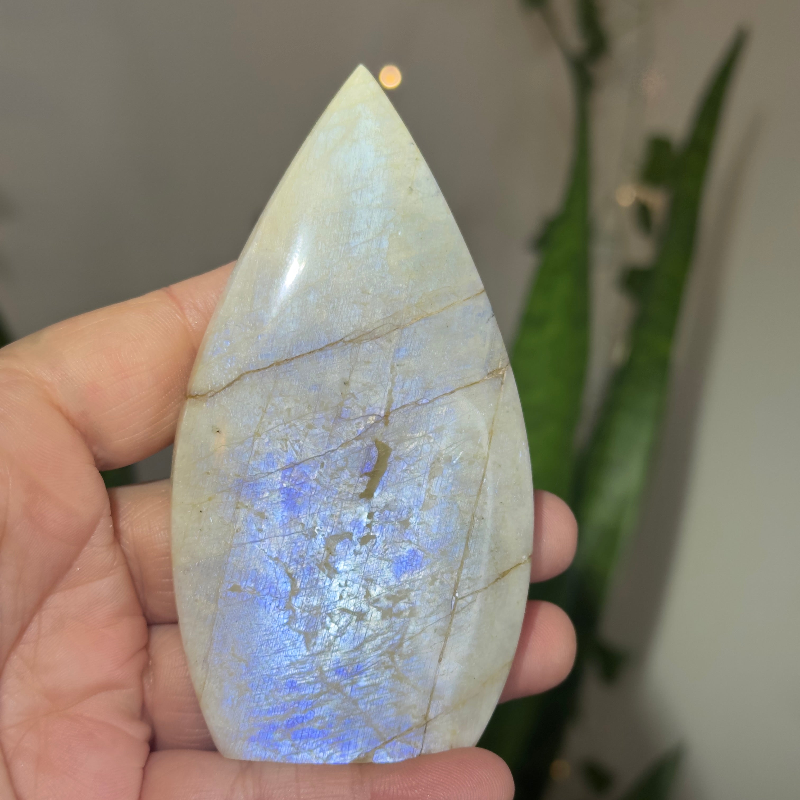 Moonstone Teardrop with Electric Blue Flash - A