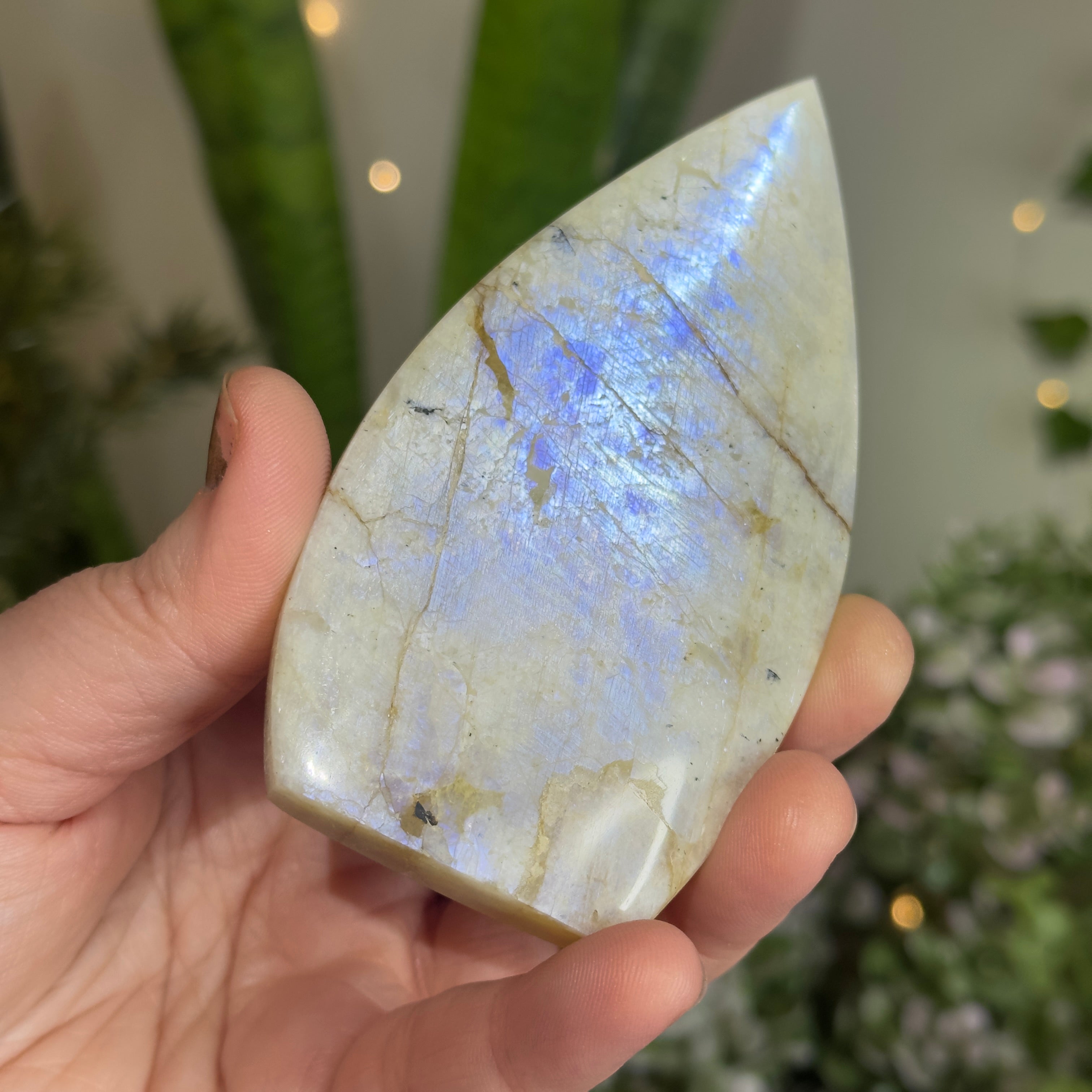 Moonstone Teardrop with Electric Blue Flash - A