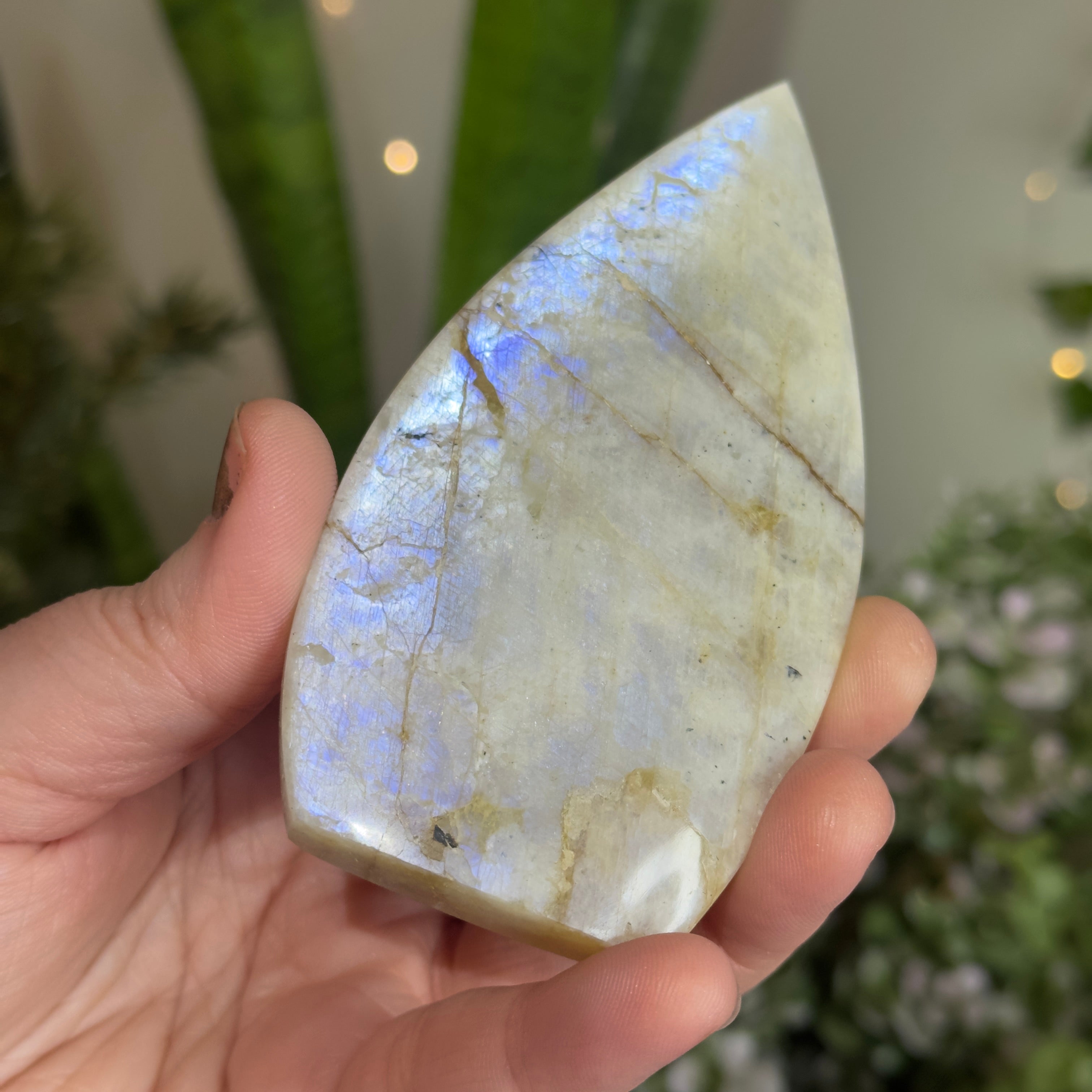 Moonstone Teardrop with Electric Blue Flash - A