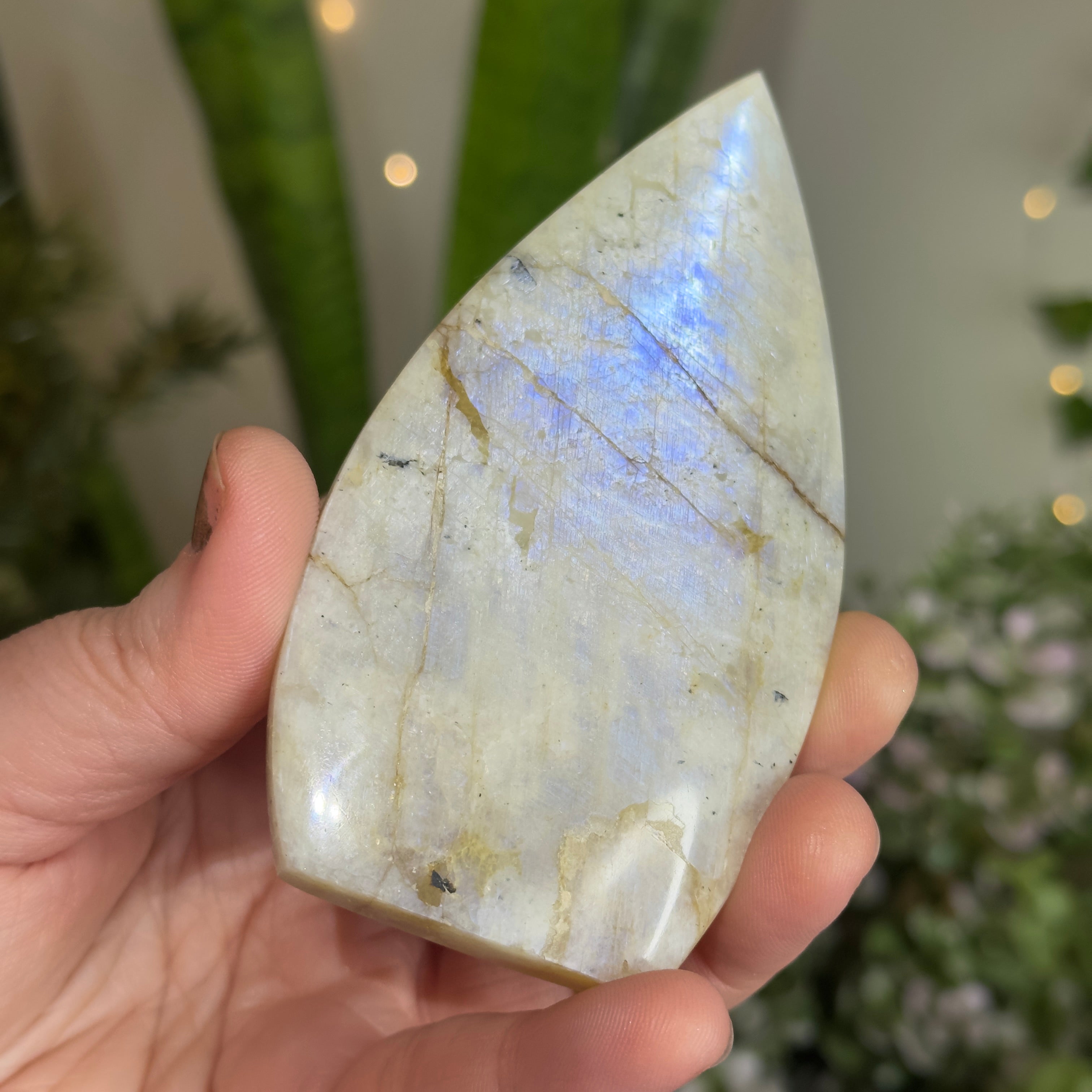 Moonstone Teardrop with Electric Blue Flash - A