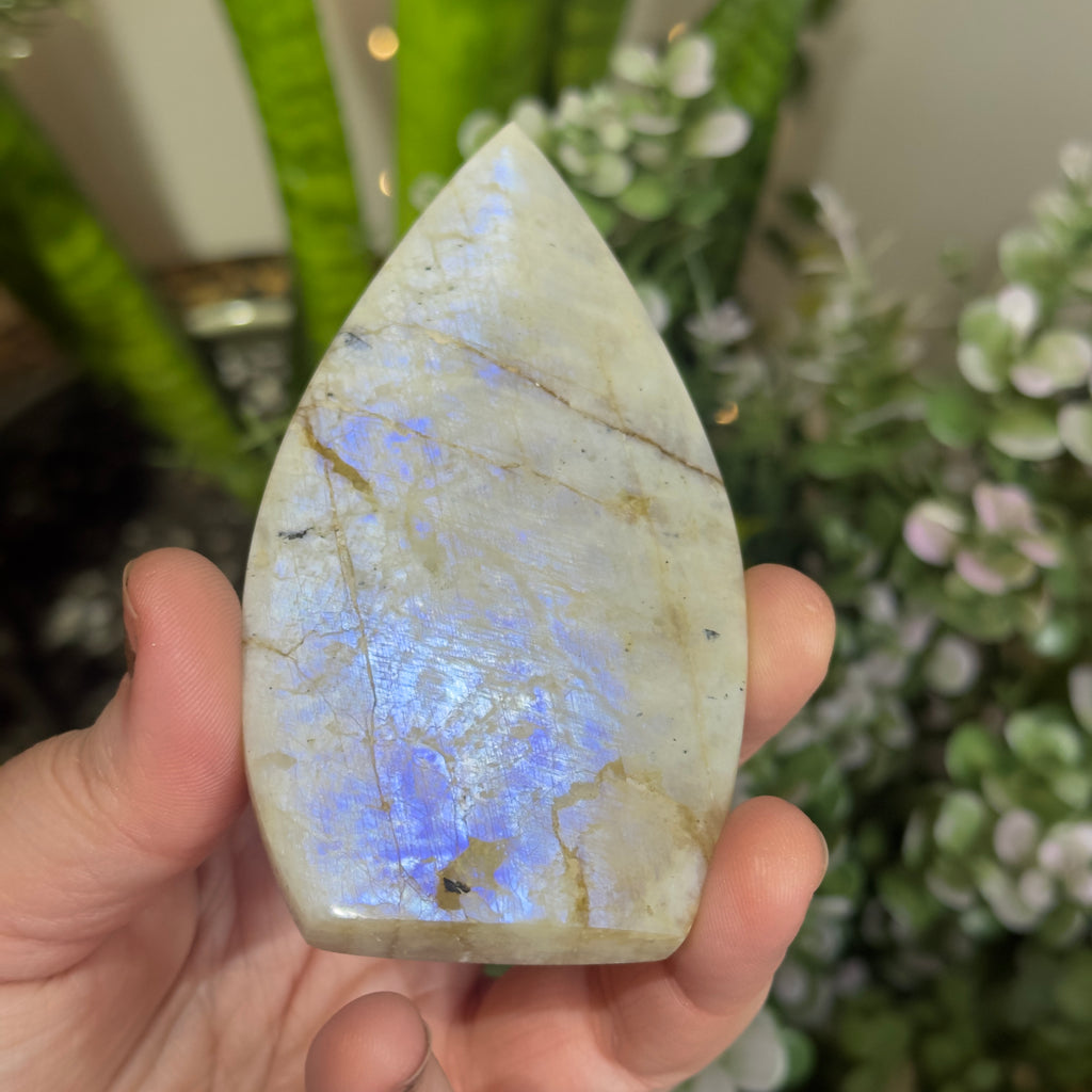 Moonstone Teardrop with Electric Blue Flash - A