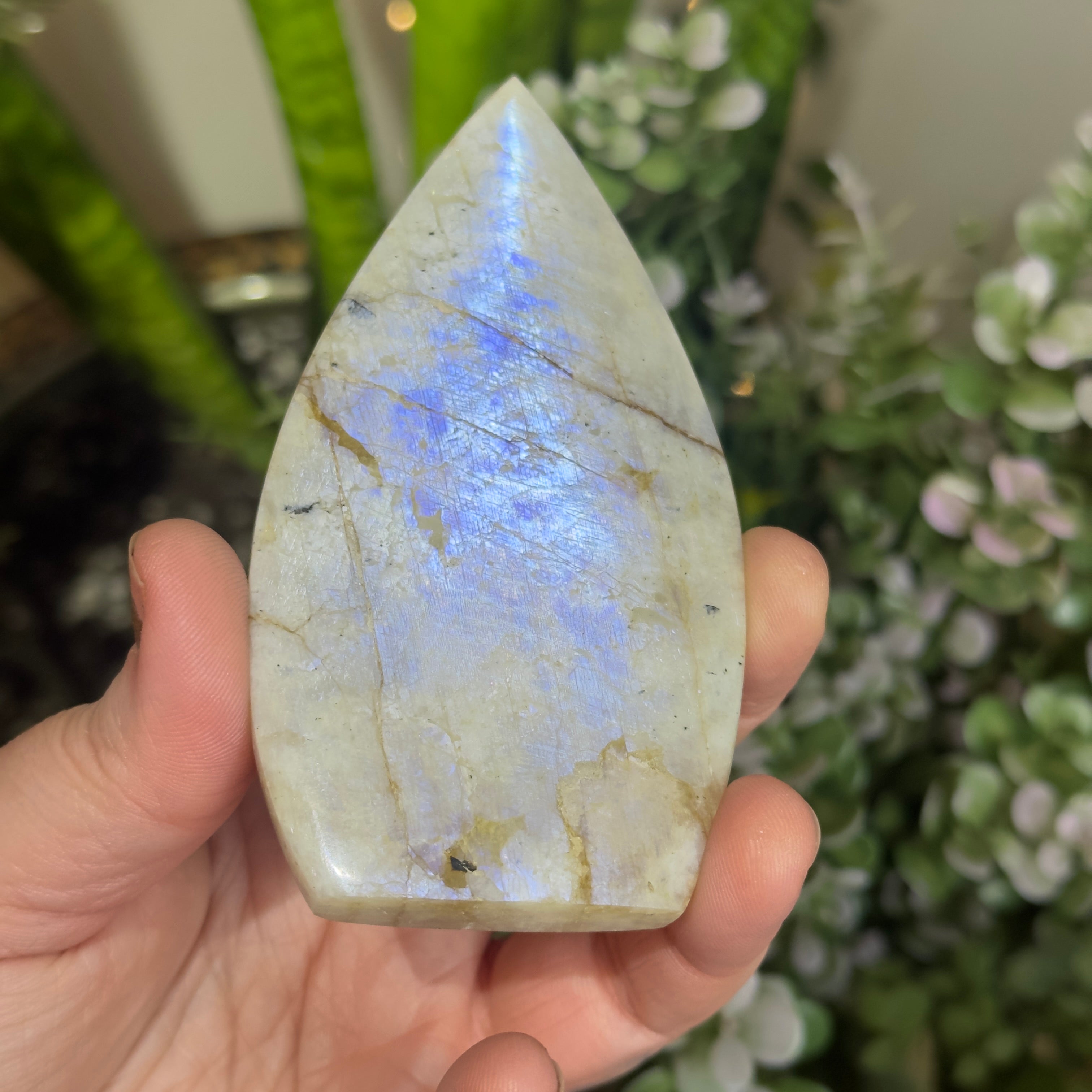 Moonstone Teardrop with Electric Blue Flash - A