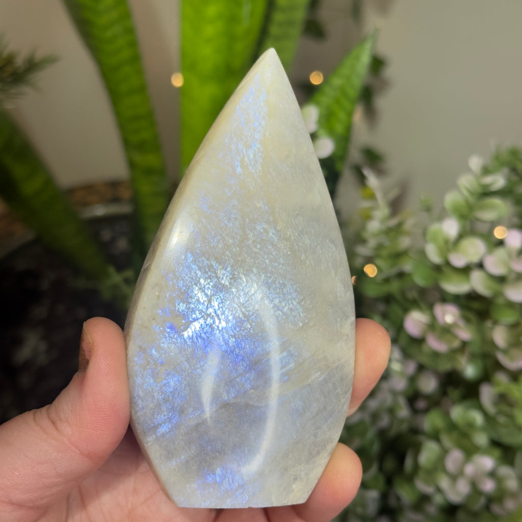 Moonstone Teardrop with Electric Blue Flash - B