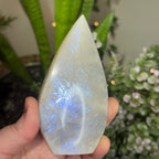 Moonstone Teardrop with Electric Blue Flash - B