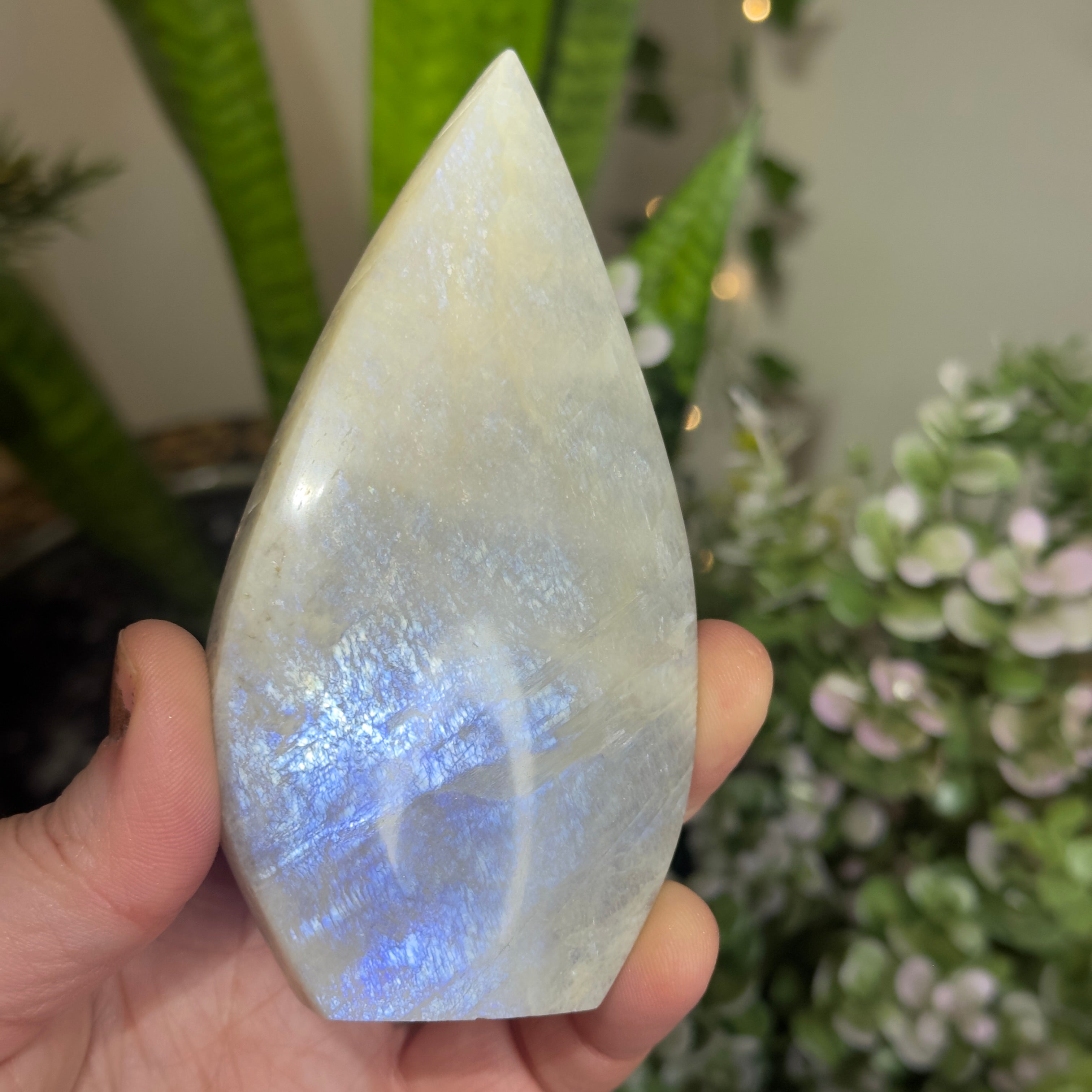 Moonstone Teardrop with Electric Blue Flash - B