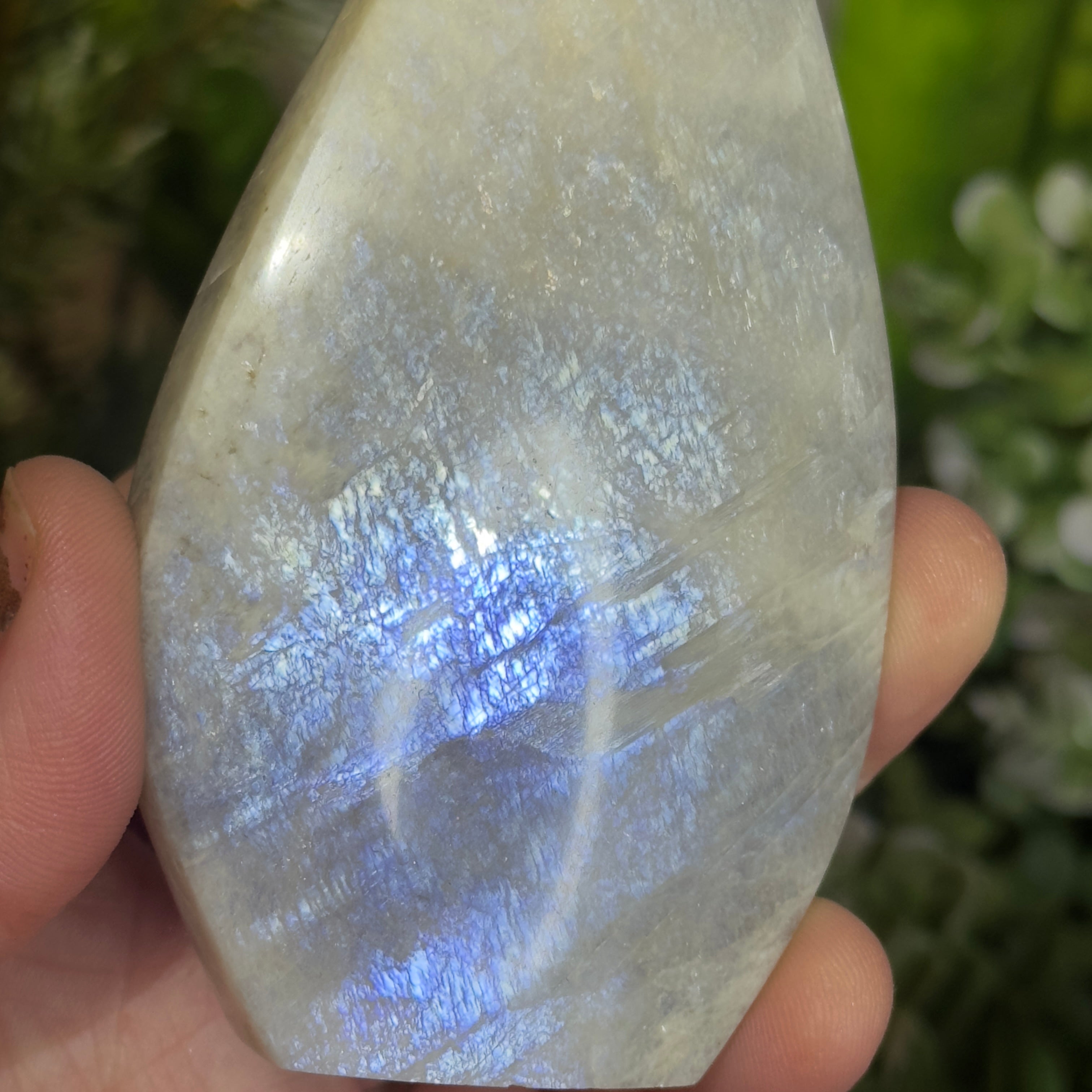 Moonstone Teardrop with Electric Blue Flash - B