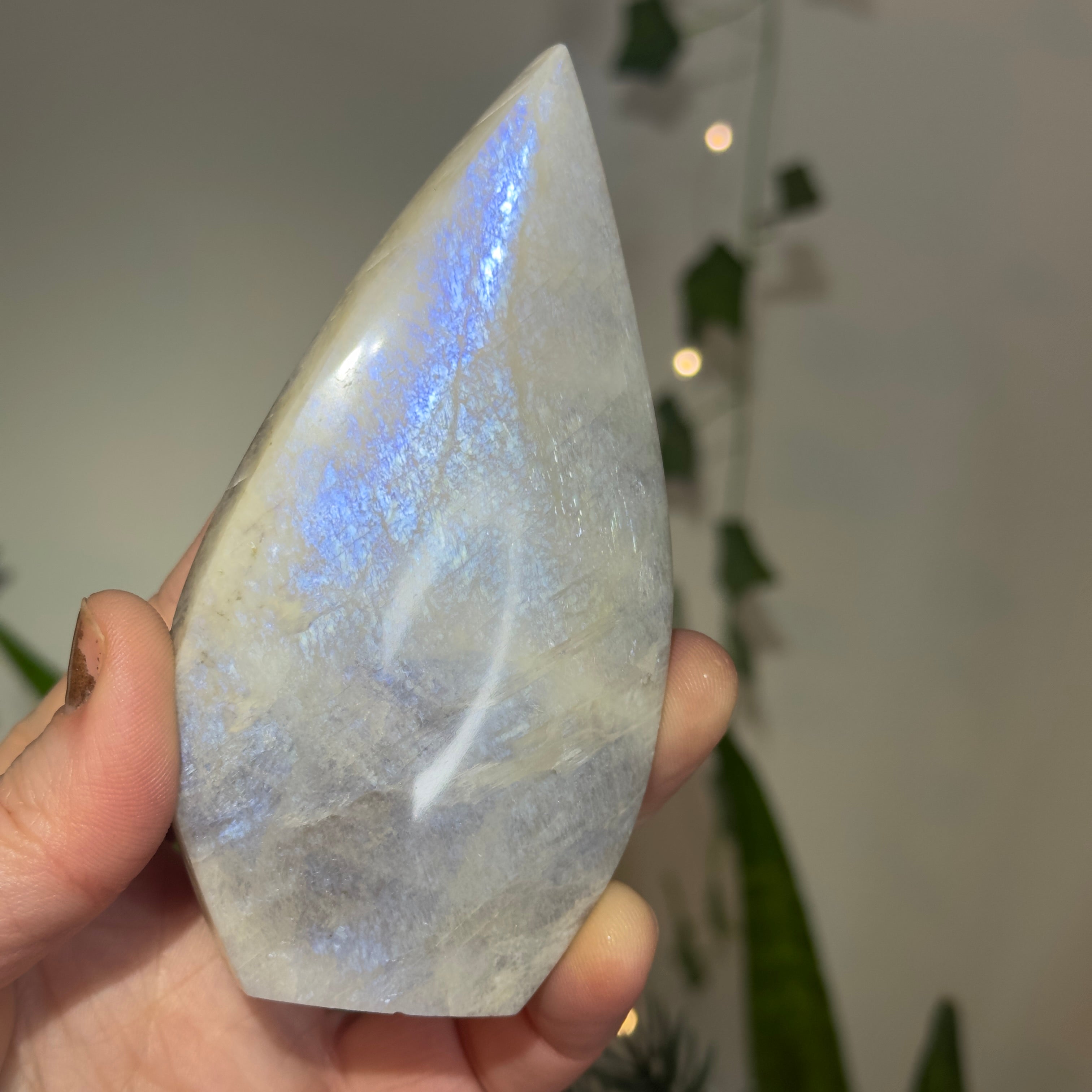 Moonstone Teardrop with Electric Blue Flash - B