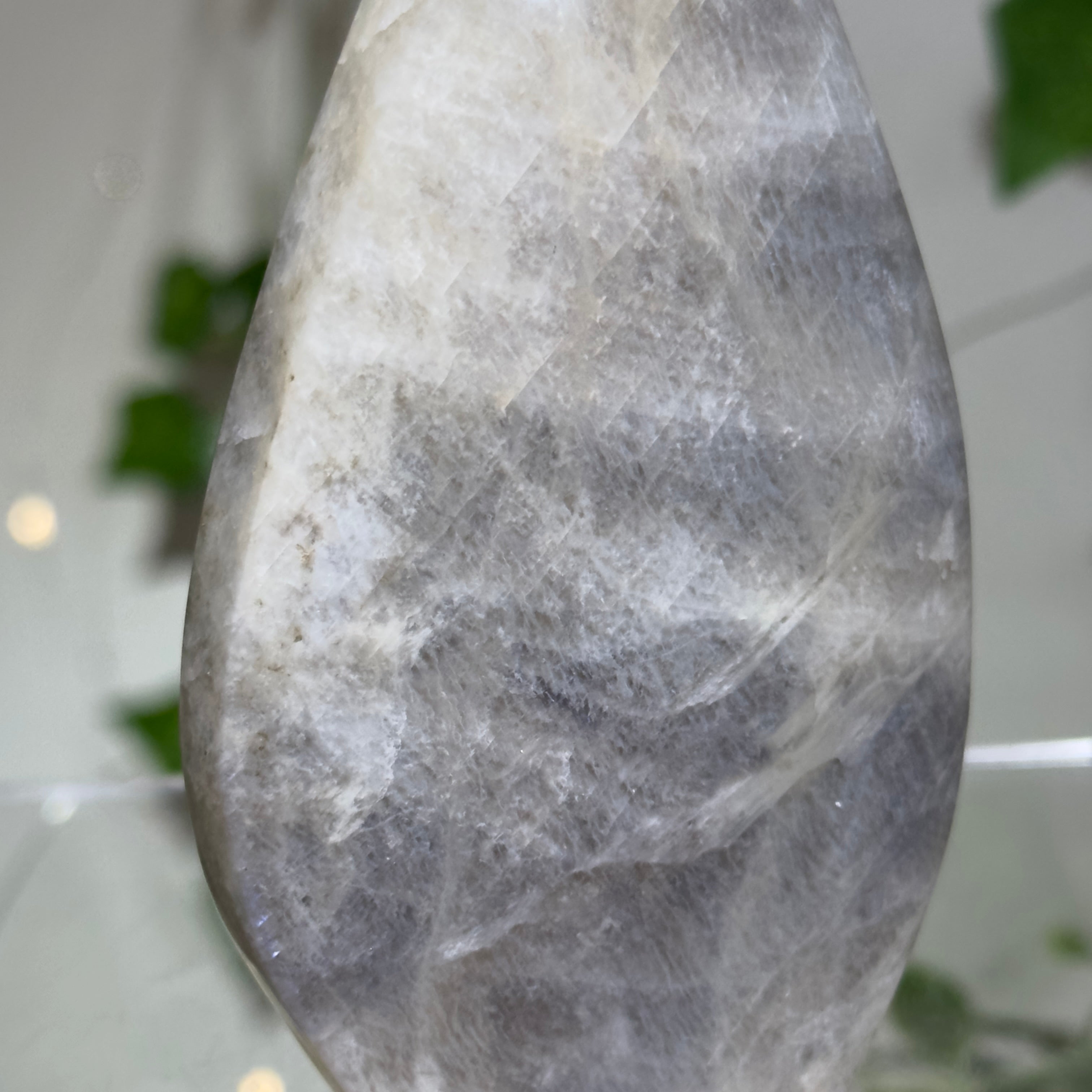Moonstone Teardrop with Electric Blue Flash - B