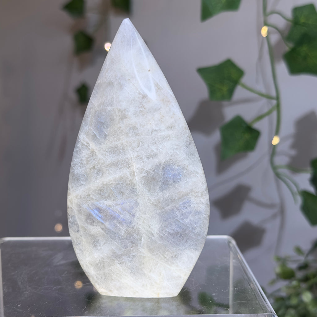 Moonstone Teardrop with Electric Blue Flash - B
