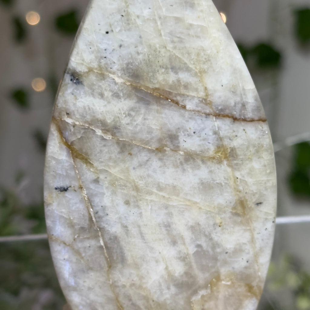 Moonstone Teardrop with Electric Blue Flash - A