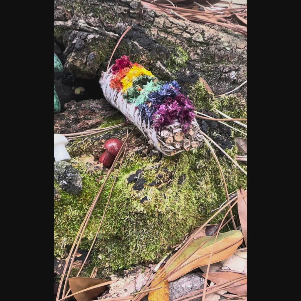 Little World: Forest Fairy