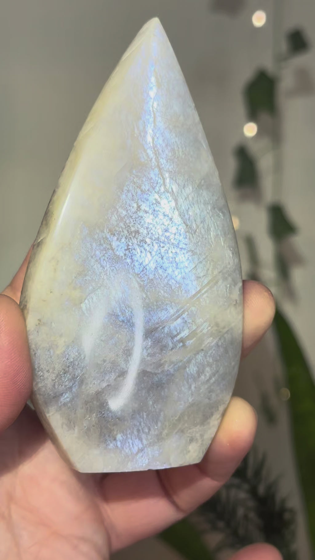 Moonstone Teardrop with Electric Blue Flash - B