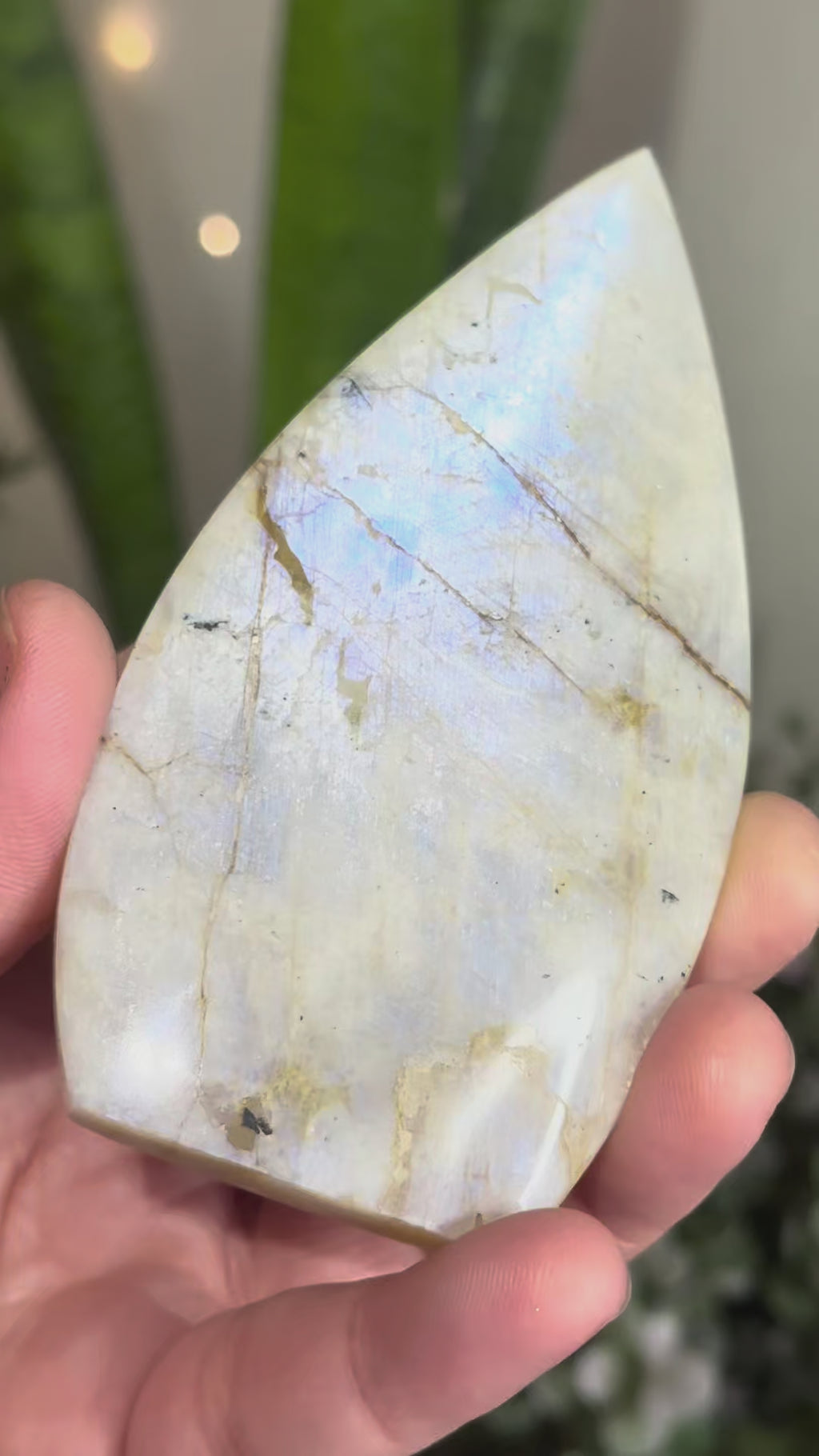 Moonstone Teardrop with Electric Blue Flash - A